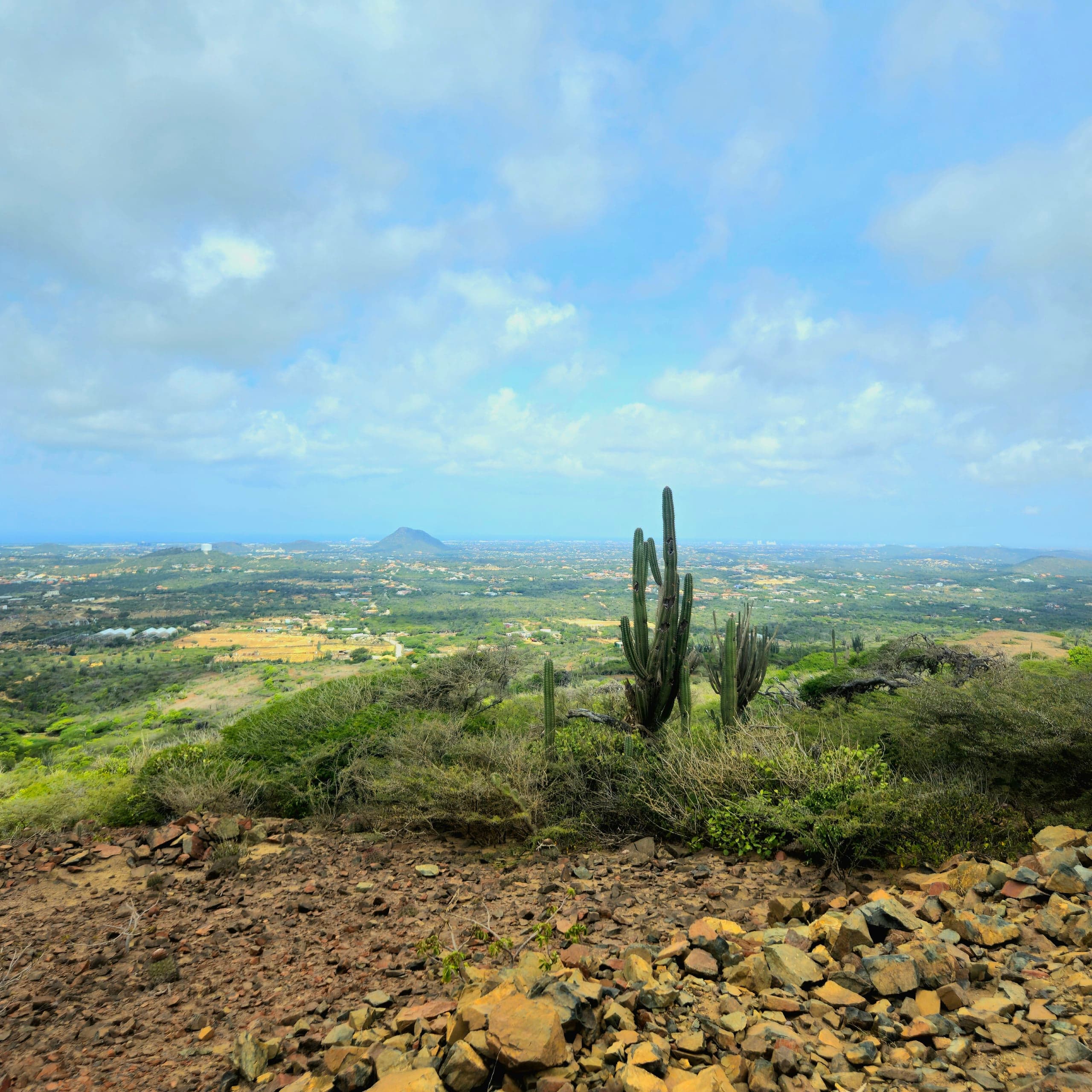 Arikok Mountain Cactus Overlook