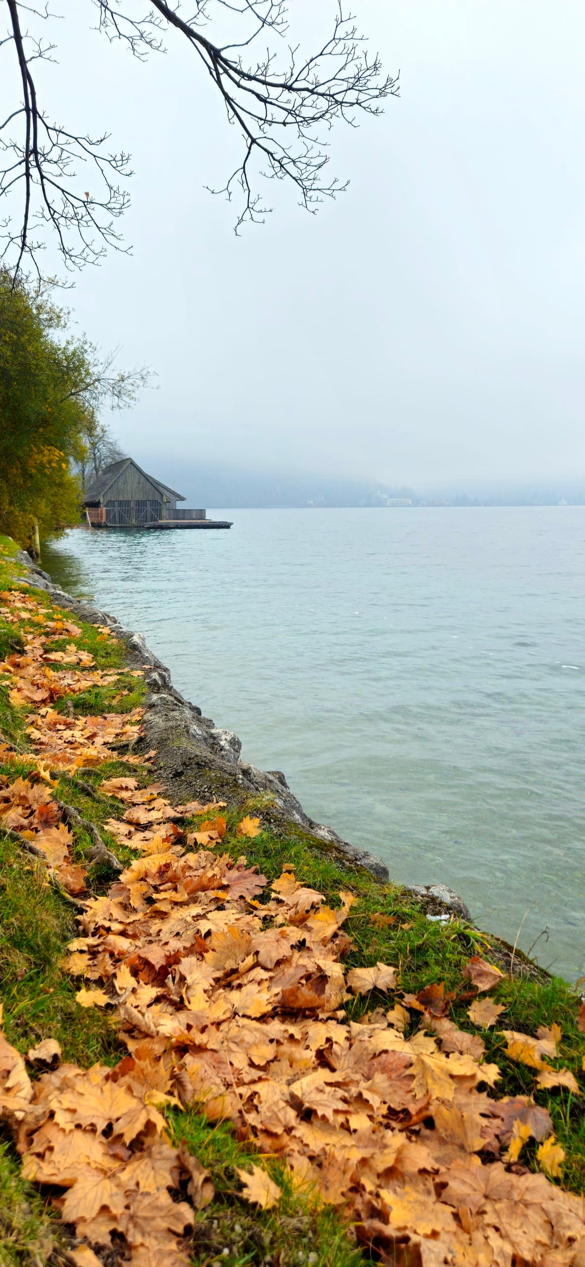 Austria Lakeside Autumn Leaves