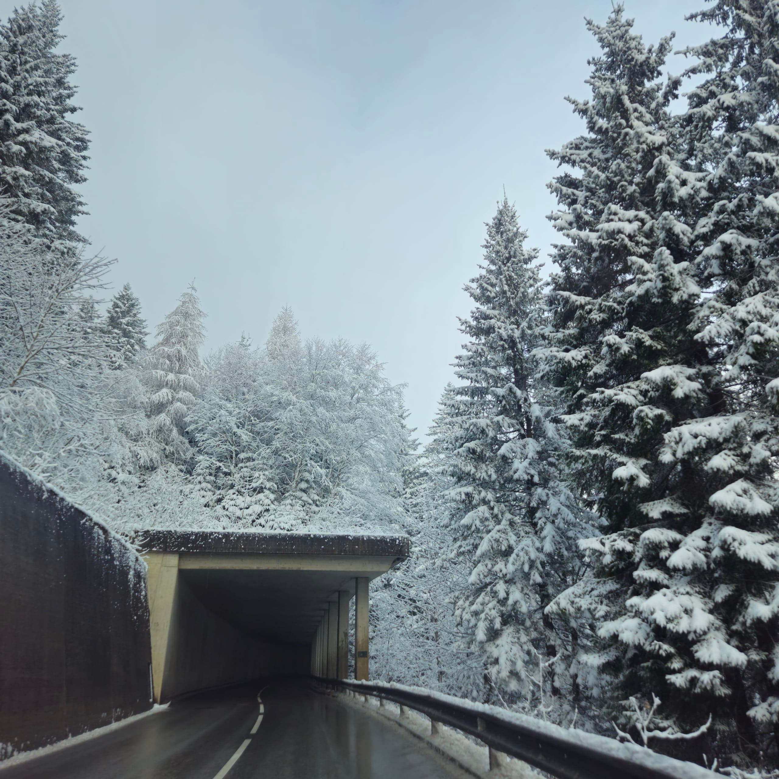 Austria Snowy Forest Road