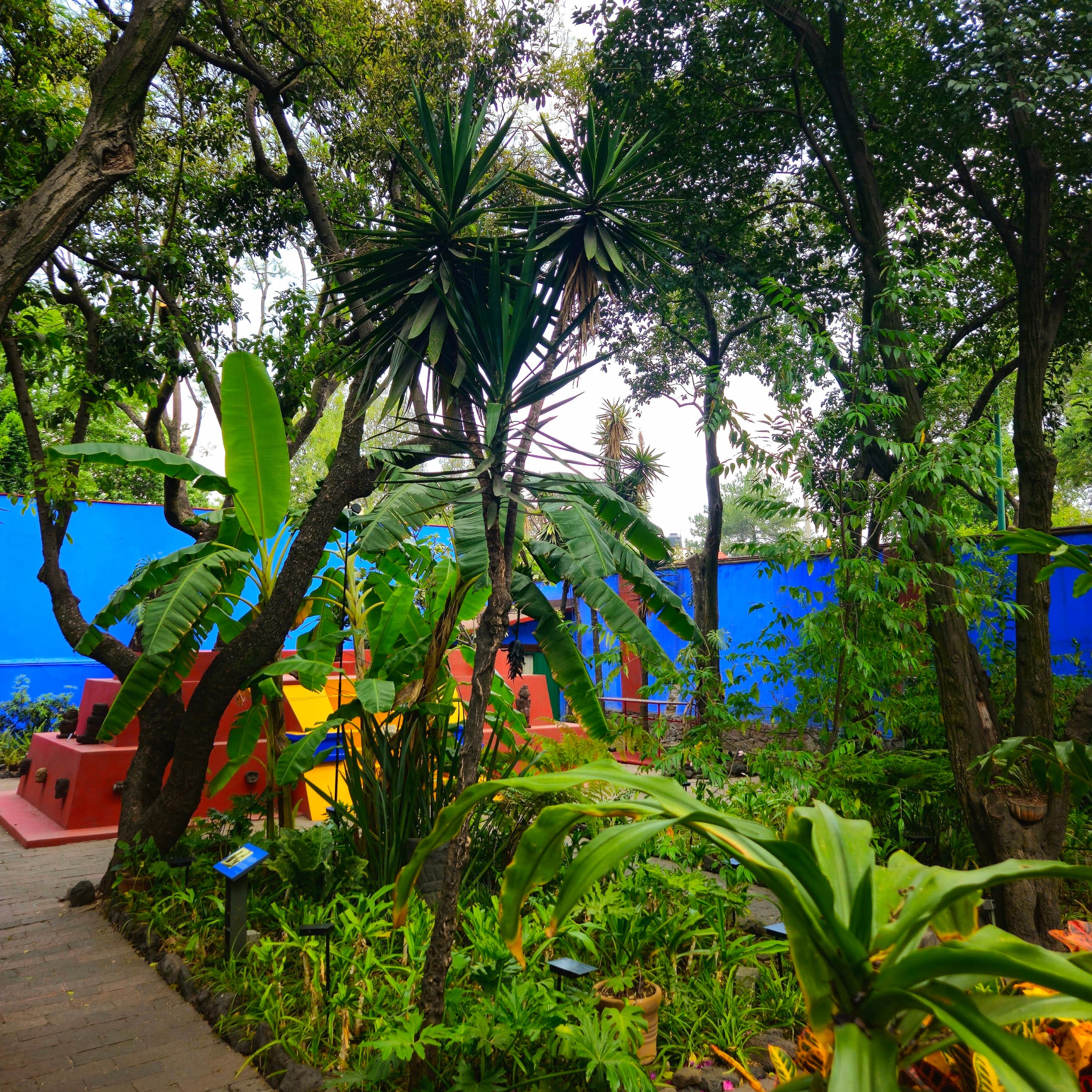 Mexico Casa Azul Garden
