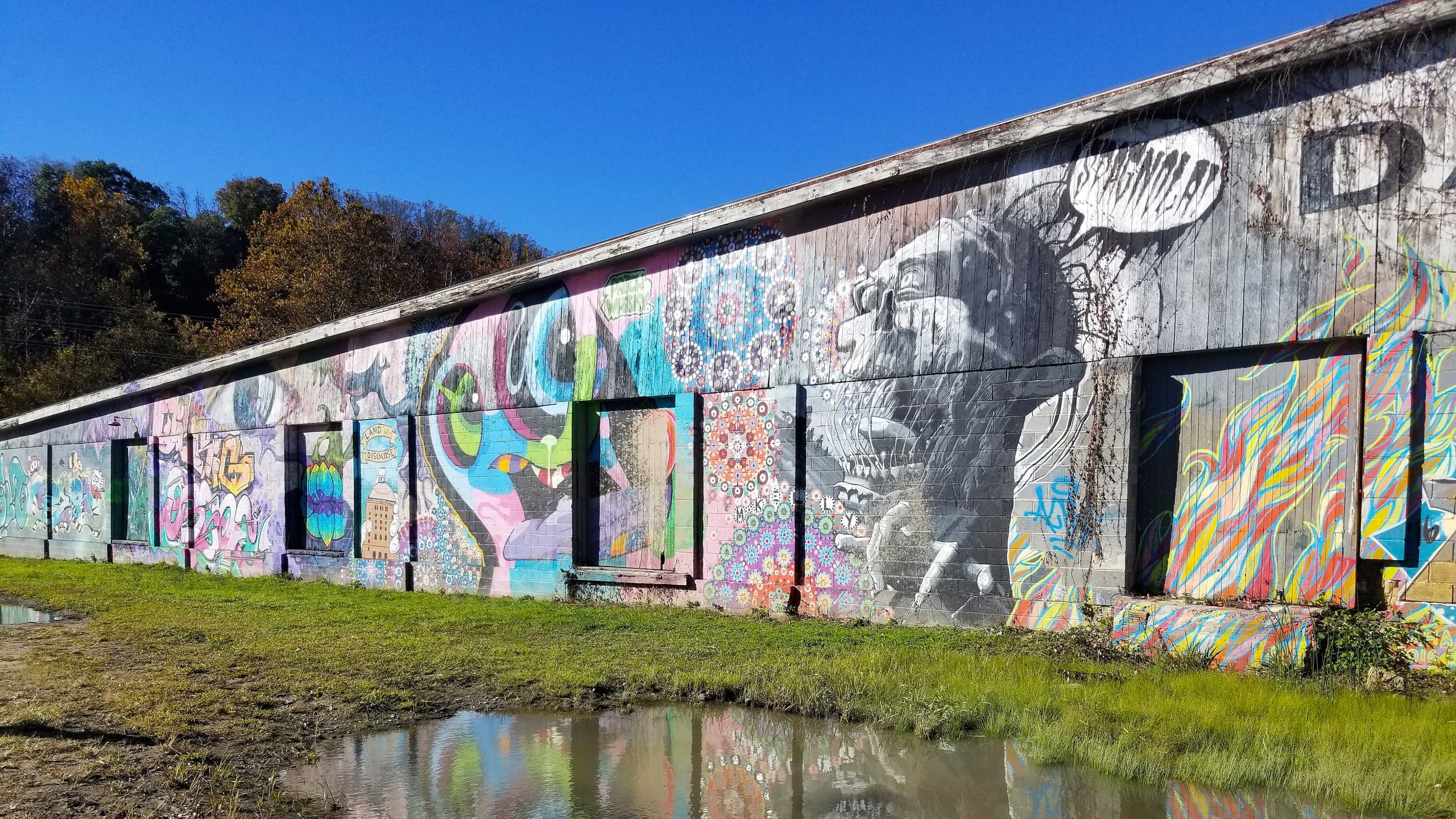 USA Asheville Mural