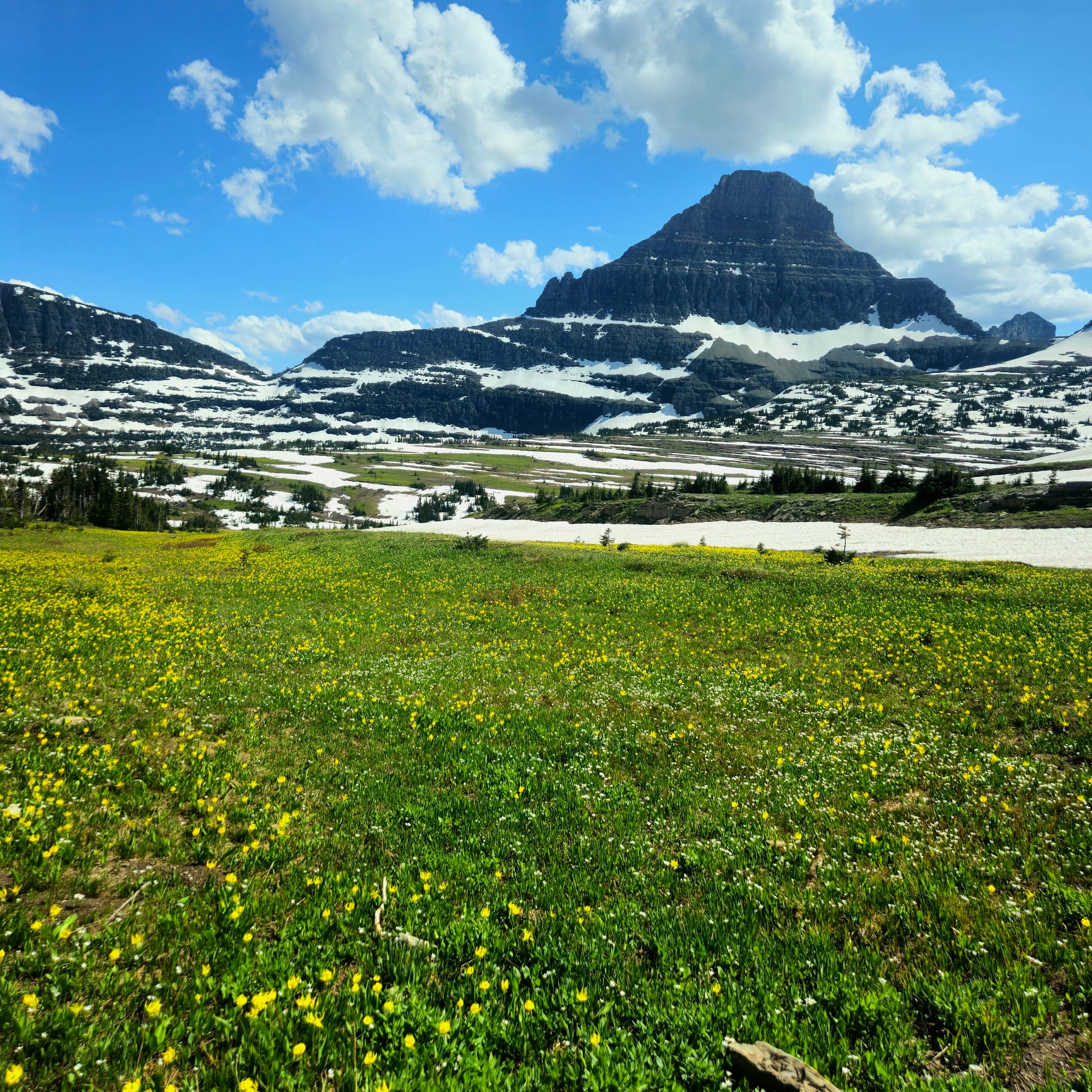 USA Glacier Logan Pass