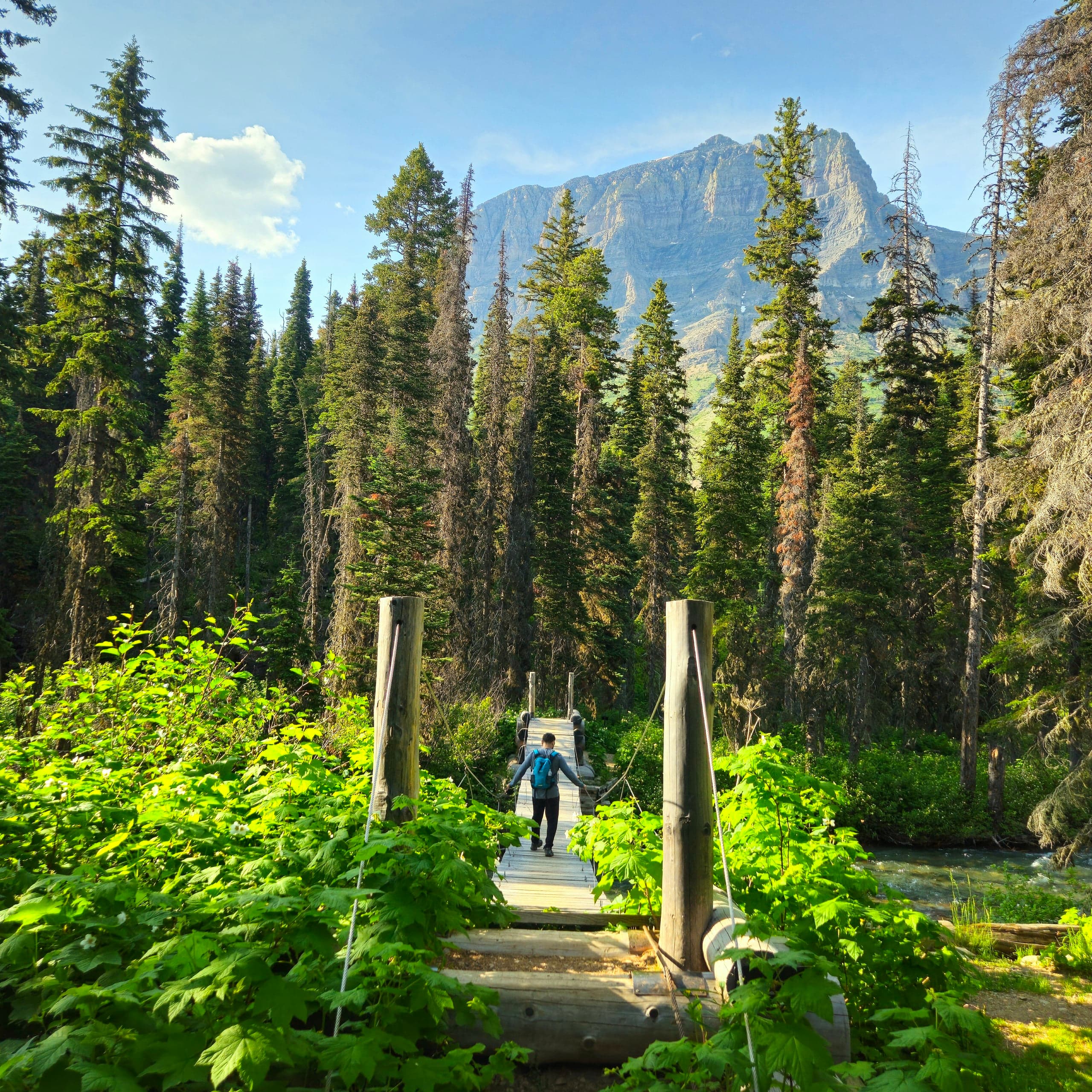 USA Glacier National Park Footbridge