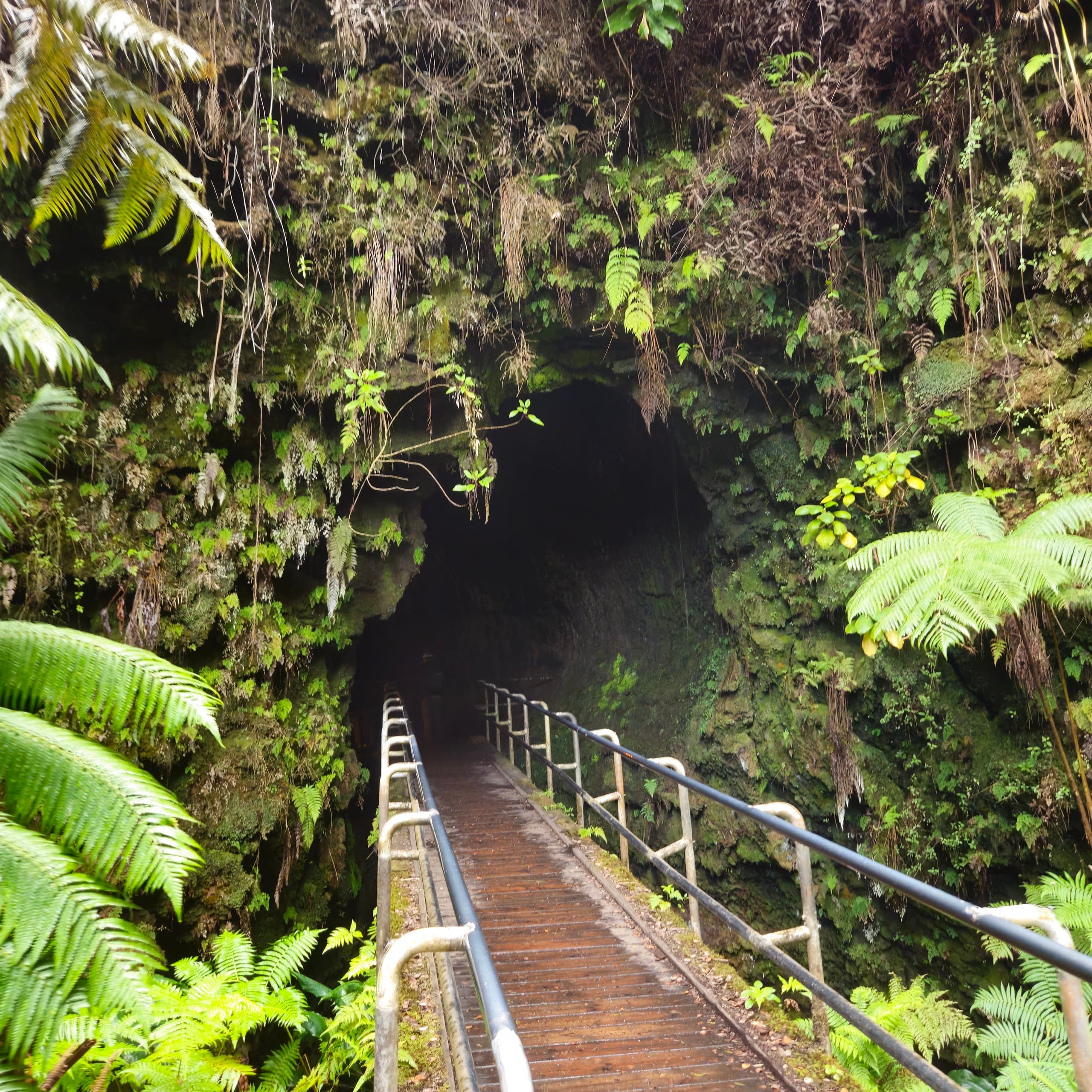USA Hawaii Lava Tube