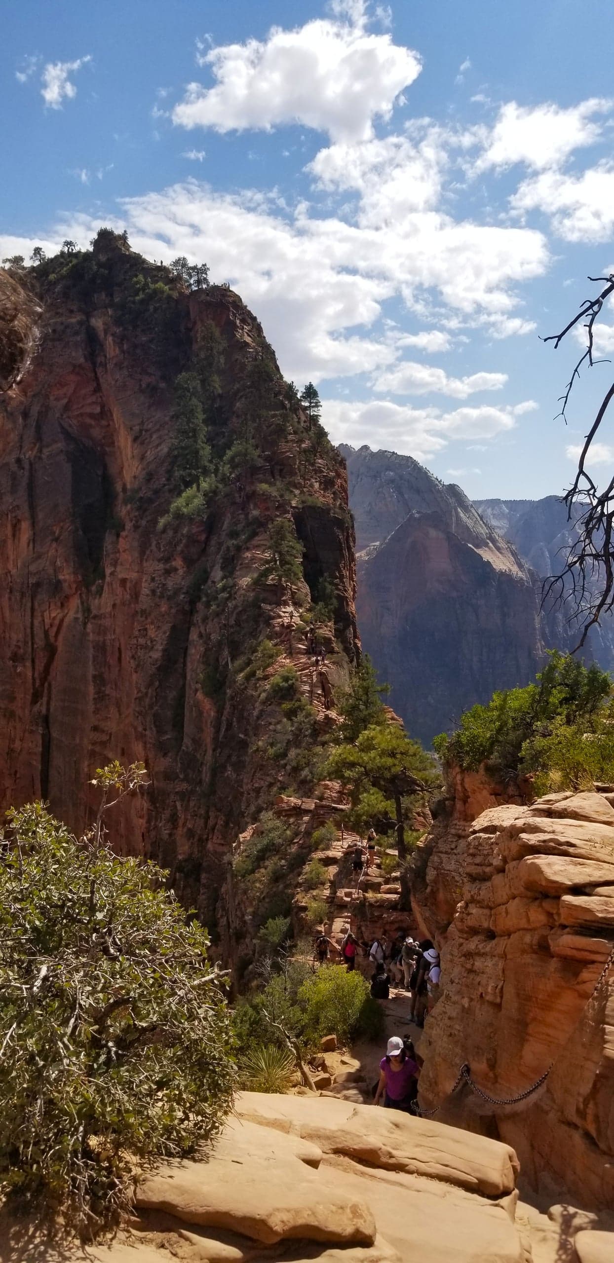 USA Utah Angels Landing