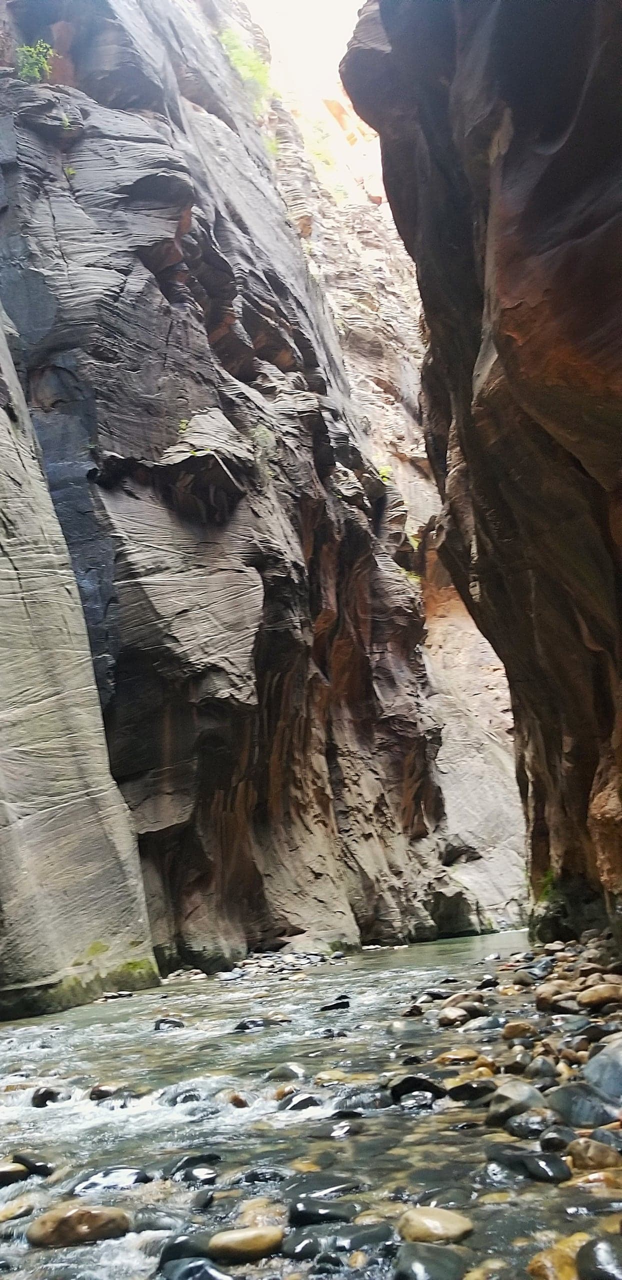USA Utah The Narrows