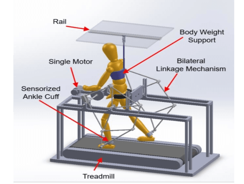 Low Cost Gait Trainer Robot preview